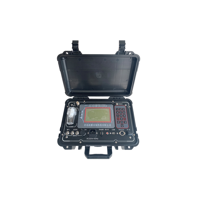 BSR-80型烟气综合分析仪（小型）(图1)